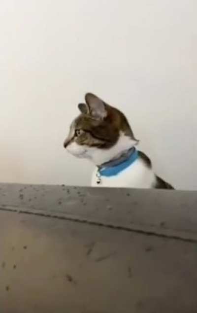 what da fuck dey doin ova there?