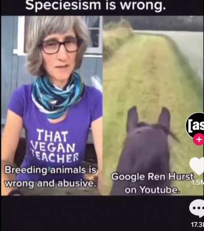 Blursed_Horse(Again)