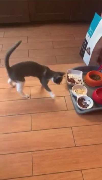 Breakfast Confusion