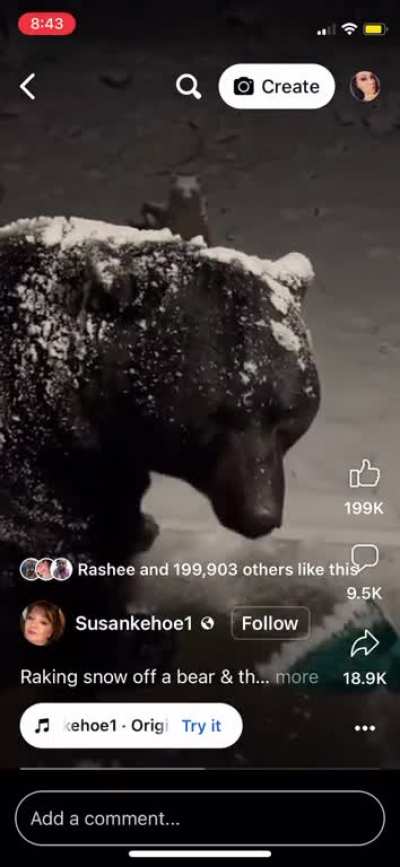 White lady literally “scra<wbr>tches<wbr>” snow off of a whole bear and tells it to “sit” and it listened!!!