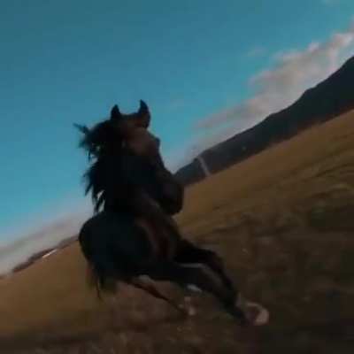 Не стой на пути паров<wbr>оза