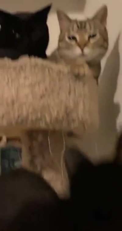 With a sound effect
