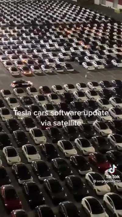 AND THE CROWD GOES WILD