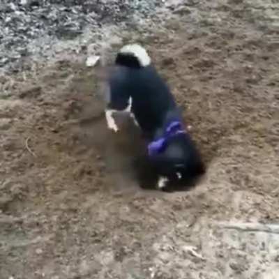 Digging is hard