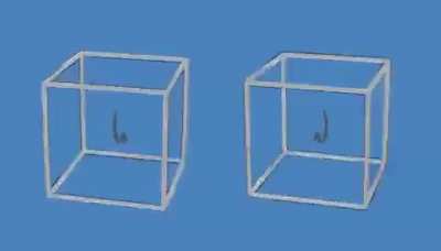 Mind boggling illusion