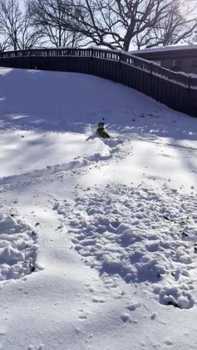 My little snow bunny.