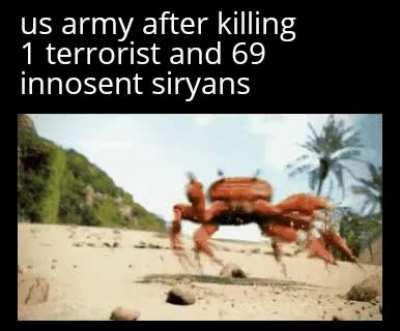 terrorism is GONE