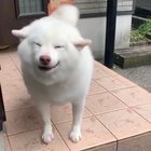 blessed_excitement