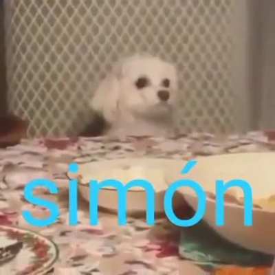 Simón