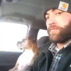 Did you... did you just HIT ME ?