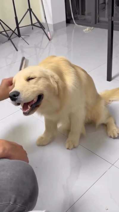 He's loving it