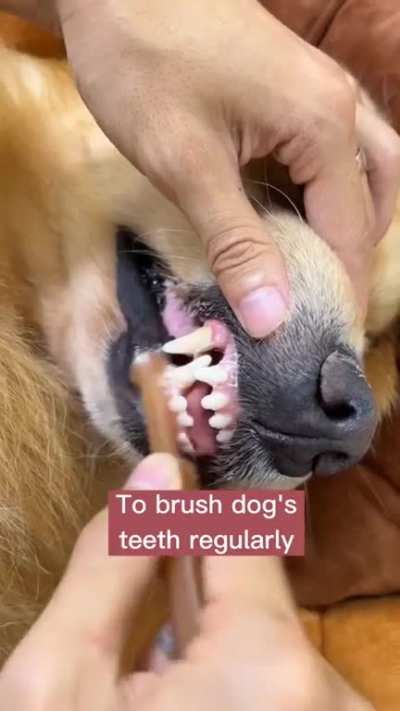 ....
