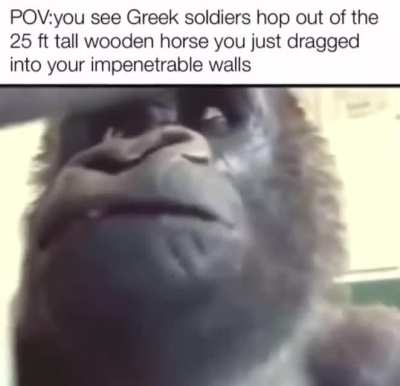 We’ve been bamboozled
