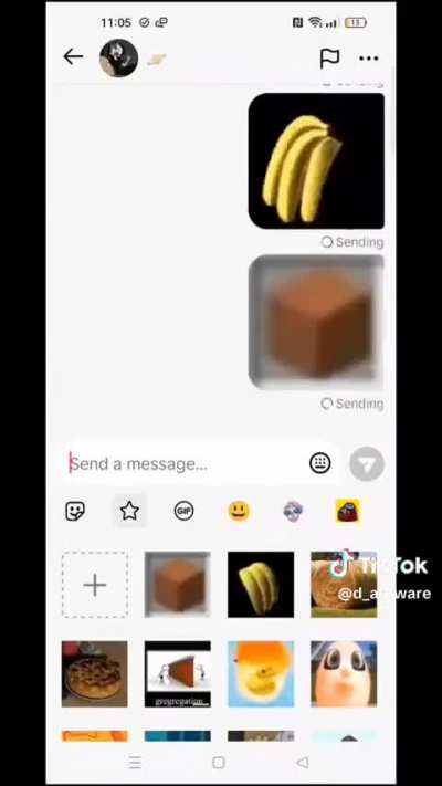 Terracotta Pie
