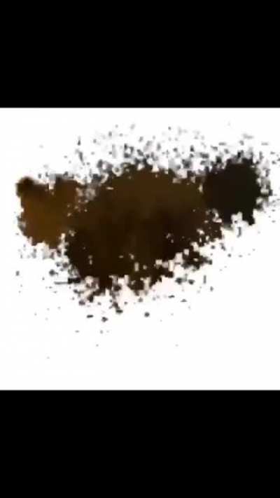 wah