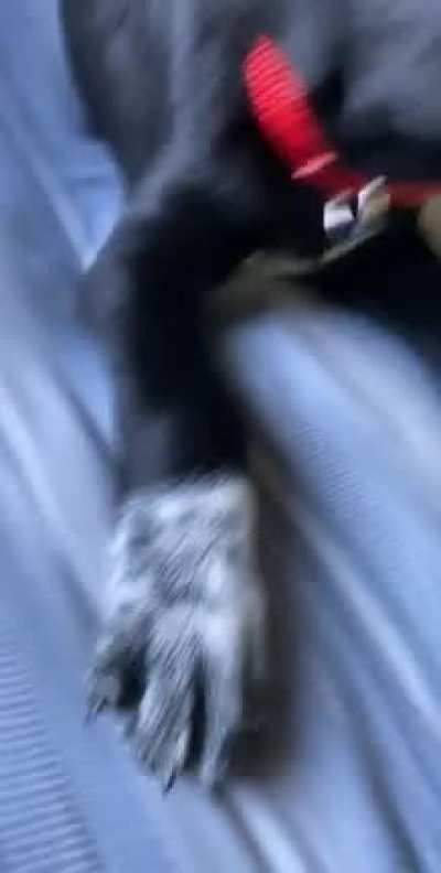 😳