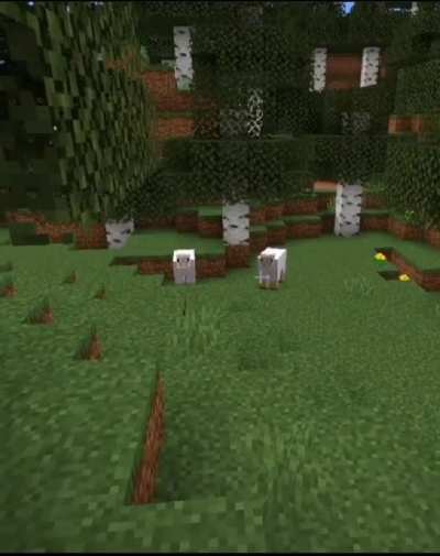 Bruh sheeps are evil.