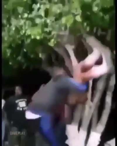 A dança do acasalamento 