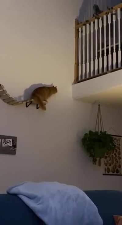 Catculations in progress !