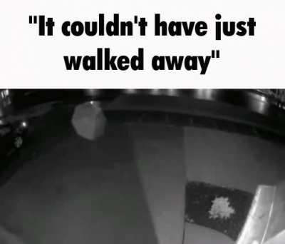Title