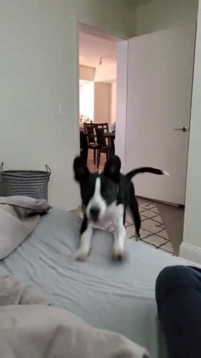 You rang?