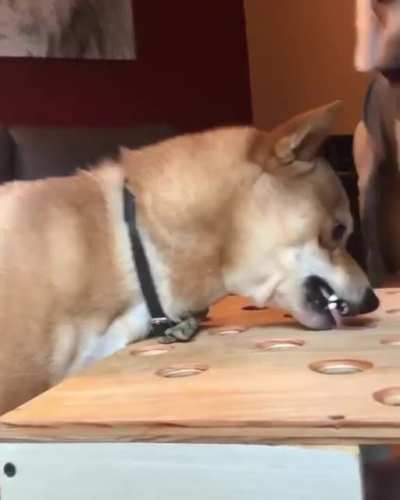Angery