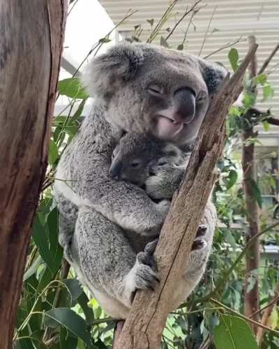 Nap time with the Baby