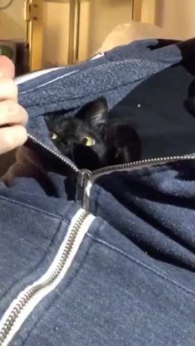 She’s not a morning cat.
