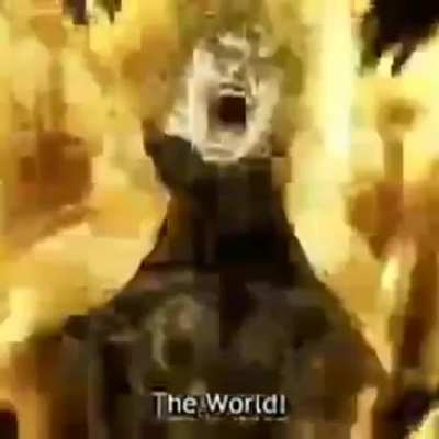 ZA WARUDO