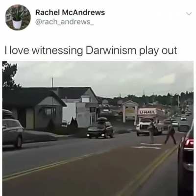 Jaywalking Genius Walks Into Side of Uhaul