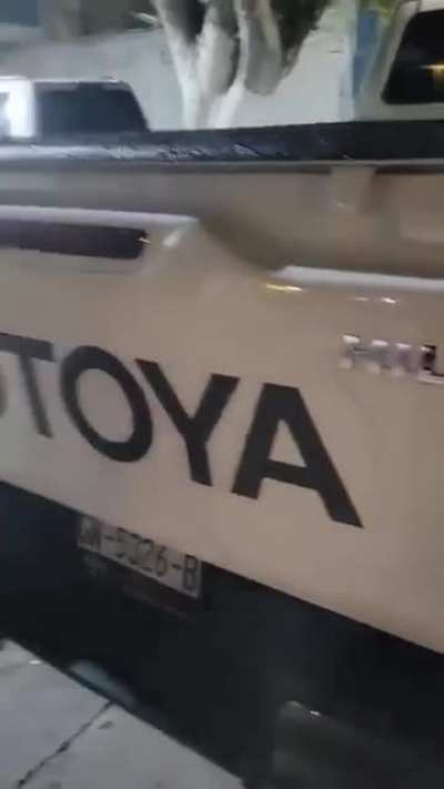 Totoya