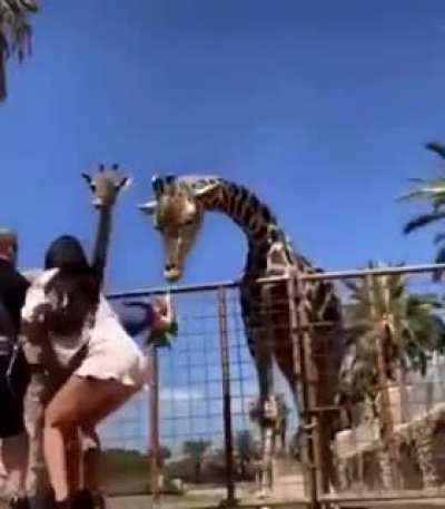 ele so foi