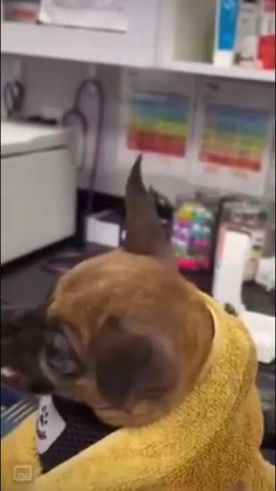 vile wunk