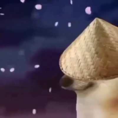 bonk