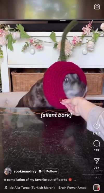 Perfectly cut borks
