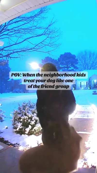 A young boy goes to his neighbour's house to see if their dog can come out to play.
