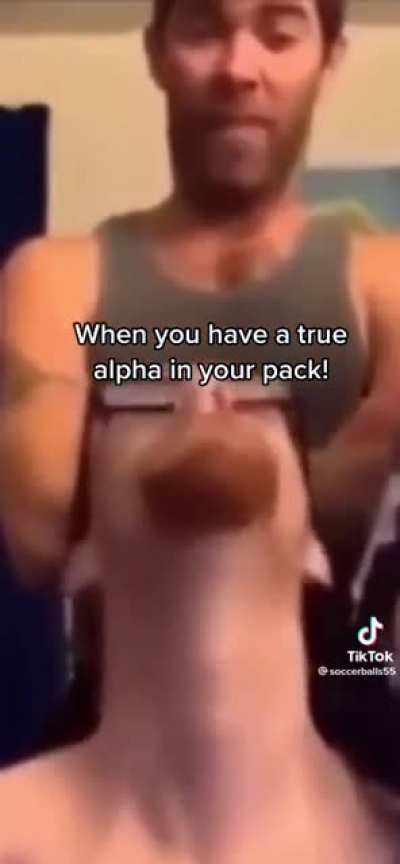 Real alpha shit