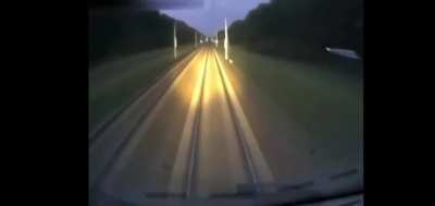 deer explodes