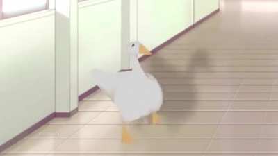HONK