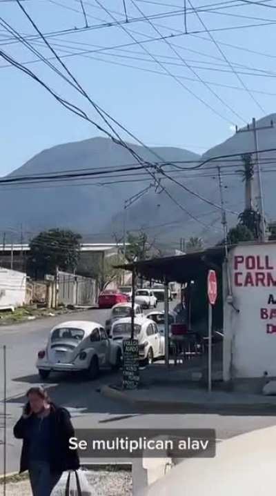 Papa Fernado's Paradise