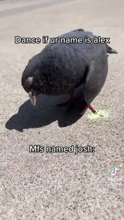 When your name isn’t Alex
