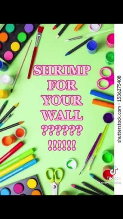 Shitty craft ideas
