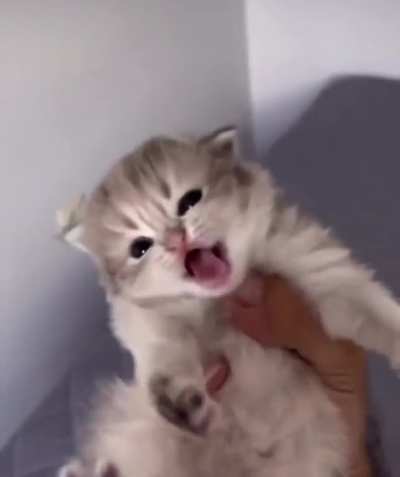 Criminal has been captured