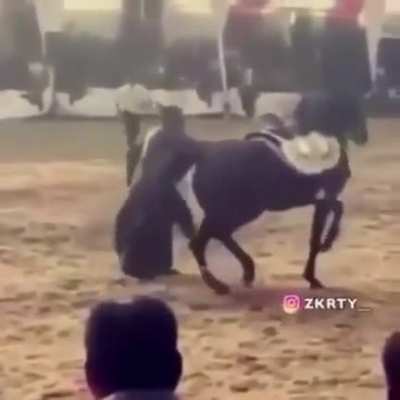 I said dance human