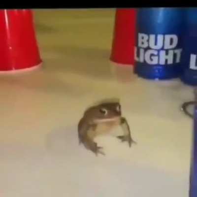 Ah o que é shitpost? Eu: