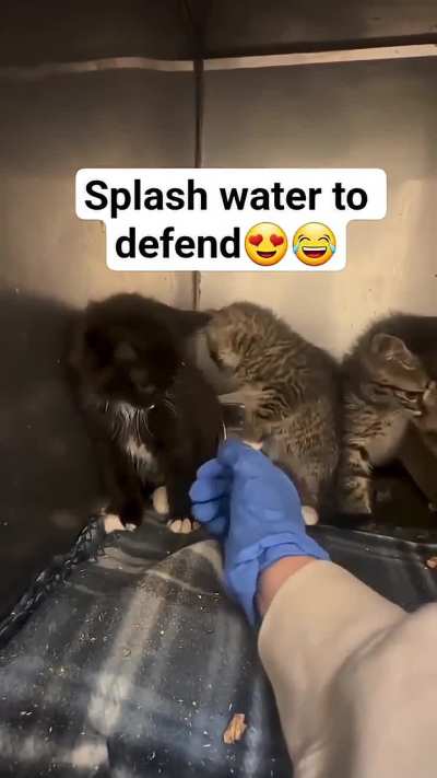 Defense 100