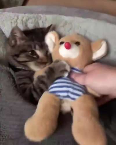 Доброй ночи рекаб<wbr>ушник<wbr>и
