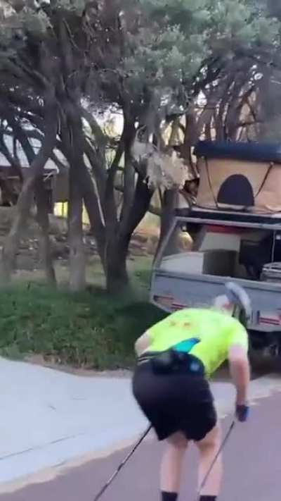 Ski training in summer