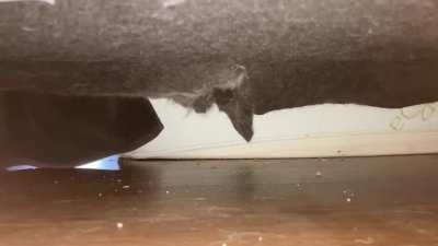 Making sure it’s safe before reentry