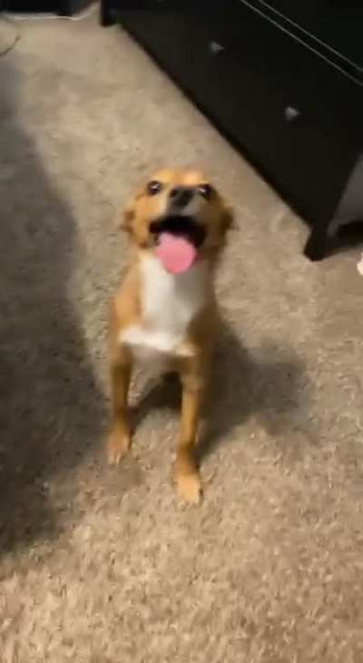 He’s ready for the weekend, no?